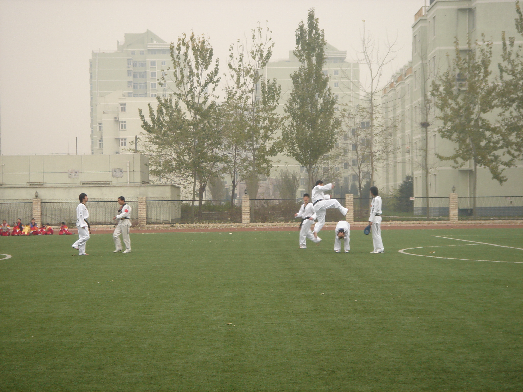 DSC00933.JPG