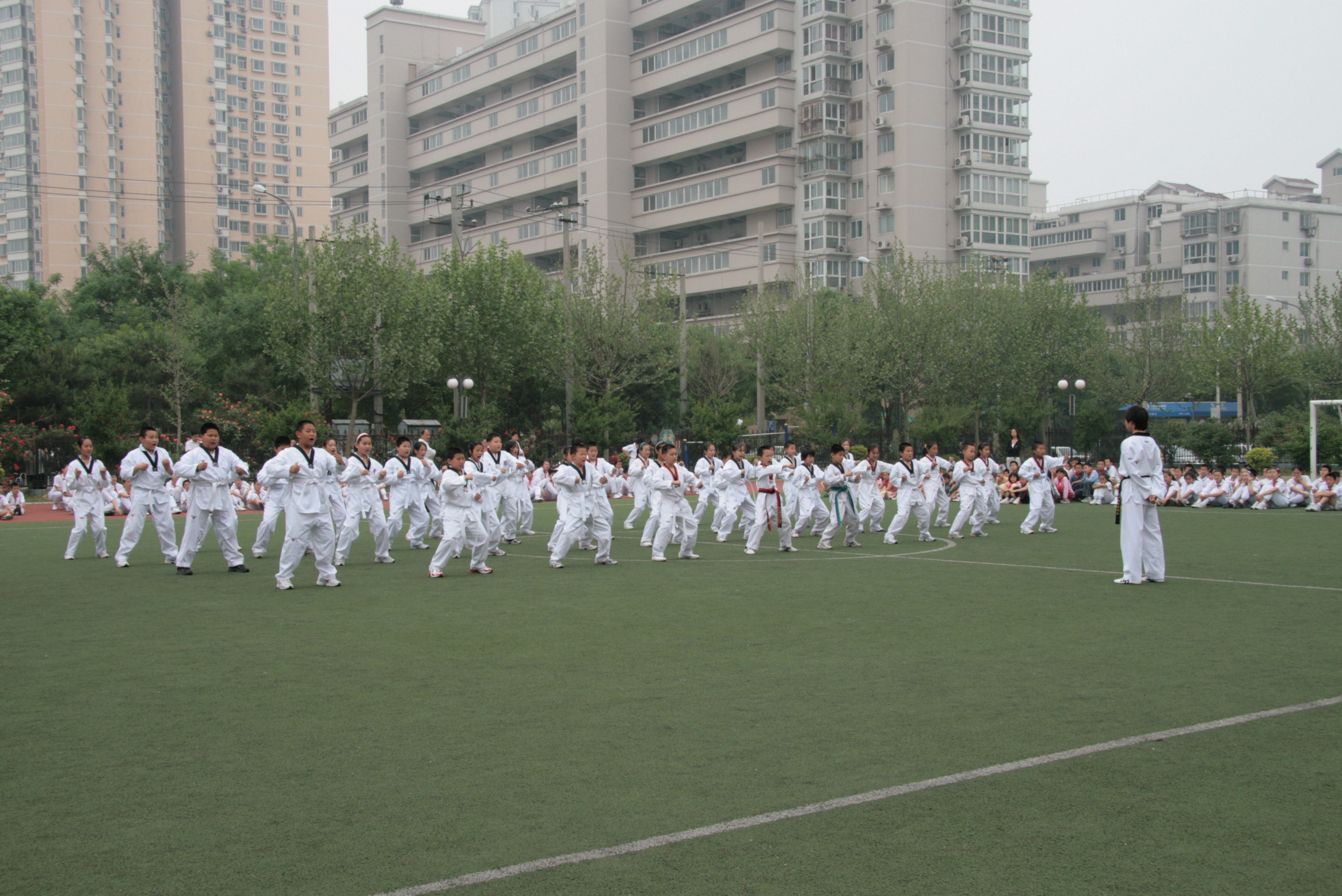 Ƭ 135.jpg